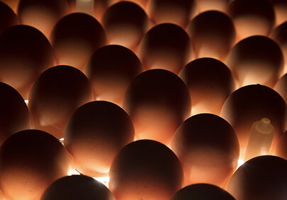 乐天堂·fun88(中国区) - 官方网站