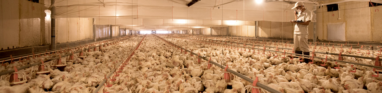 乐天堂·fun88(中国区) - 官方网站