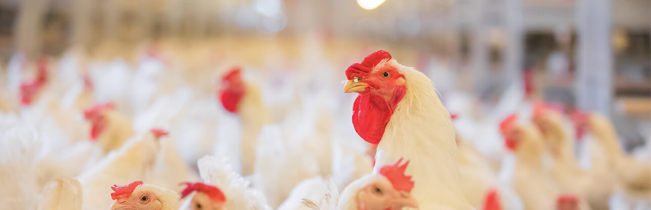 乐天堂·fun88(中国区) - 官方网站