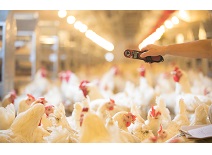 乐天堂·fun88(中国区) - 官方网站