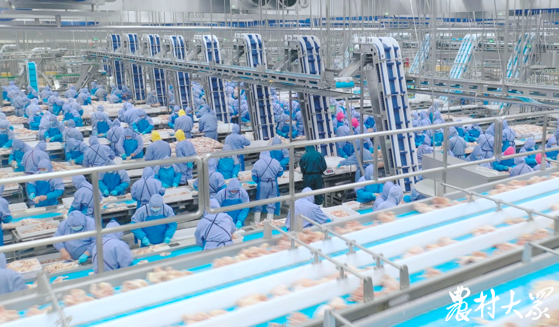 乐天堂·fun88(中国区) - 官方网站