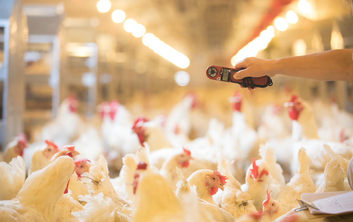 乐天堂·fun88(中国区) - 官方网站