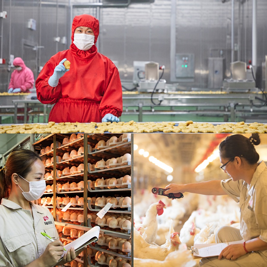 乐天堂·fun88(中国区) - 官方网站